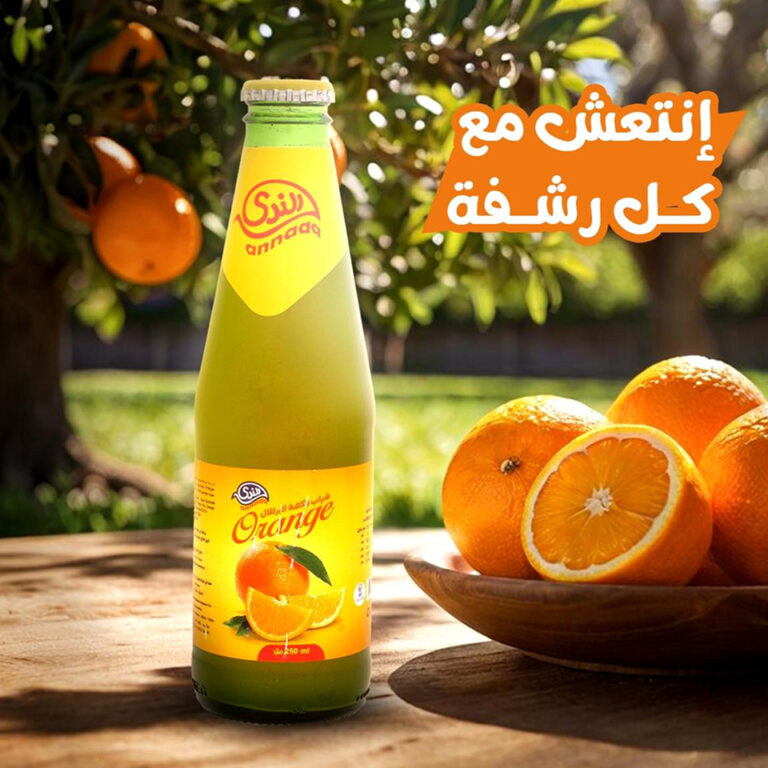 510354219_1014221957533200_384242949461972634_n 1